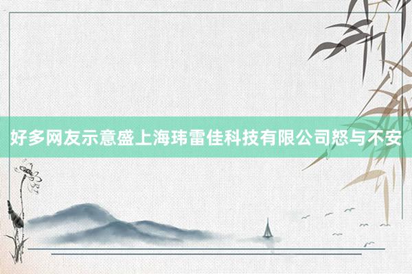 好多网友示意盛上海玮雷佳科技有限公司怒与不安