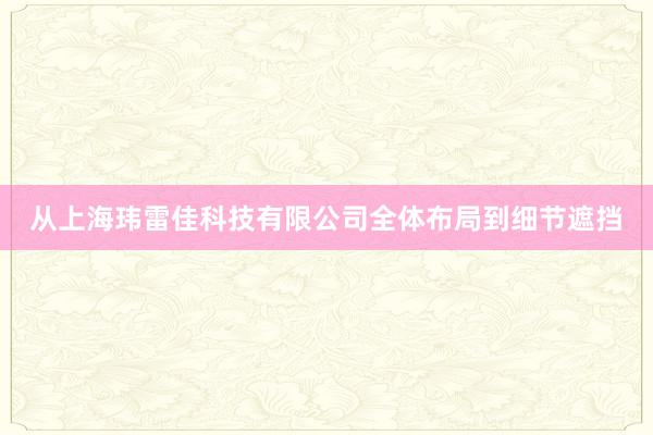 从上海玮雷佳科技有限公司全体布局到细节遮挡