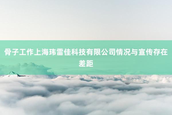 骨子工作上海玮雷佳科技有限公司情况与宣传存在差距